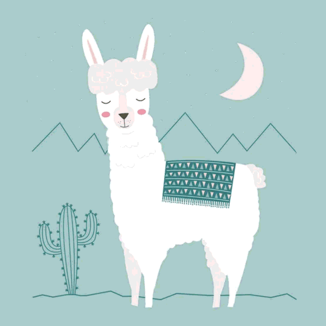 assets/images/default_e0aa569c1307d5d97595b79c6053a080.png