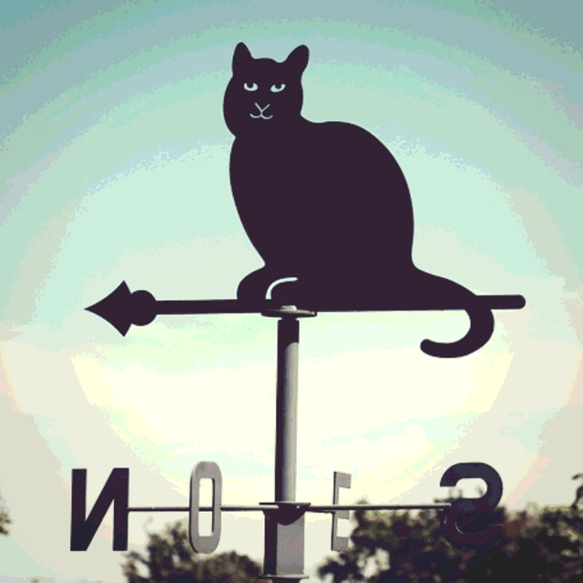 assets/images/personal_0a0b014b37ddb90d9af1fcdedccef37d.png