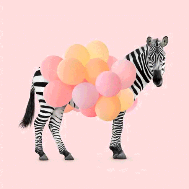 assets/images/default_8faea1fec627b7093bb74ffcfc0df027.png
