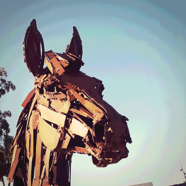 assets/images/personal_4fe95f154947c4efdf9a35045b47e137.png