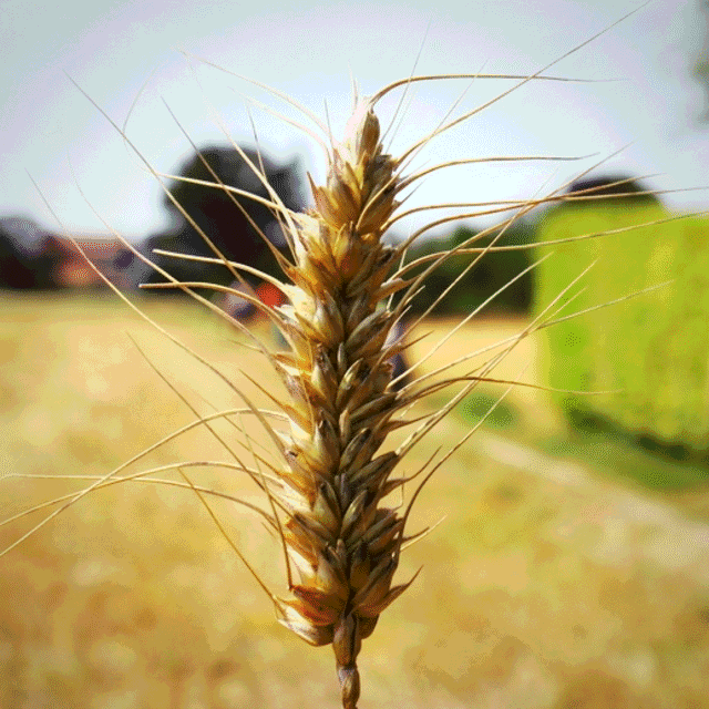 assets/images/personal_7d7e4fb5727fc23ab3fa7b40f8769fc1.png