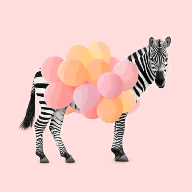 assets/images/d476505cf1c1eb67d88e39751ea125bb.png